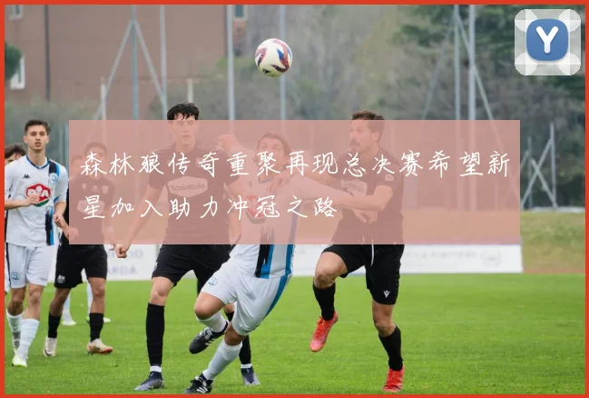 森林狼传奇重聚再现总决赛希望新星加入助力冲冠之路